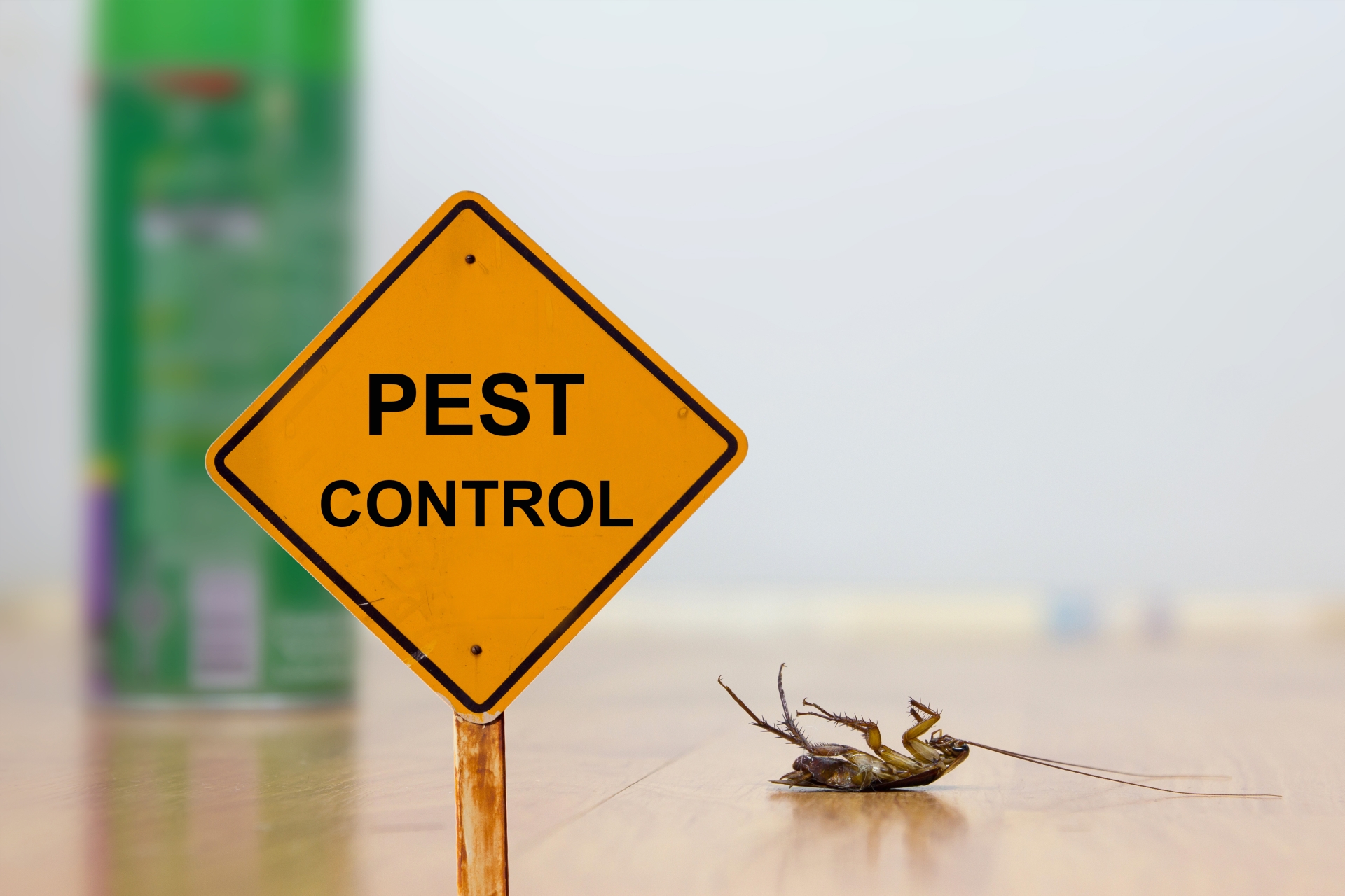 24 Hour Pest Control, Pest Control in Forest Gate, Upton Park, E7. Call Now 020 8166 9746